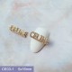 CE03-1   10pcs/lot  Celine Nail Art